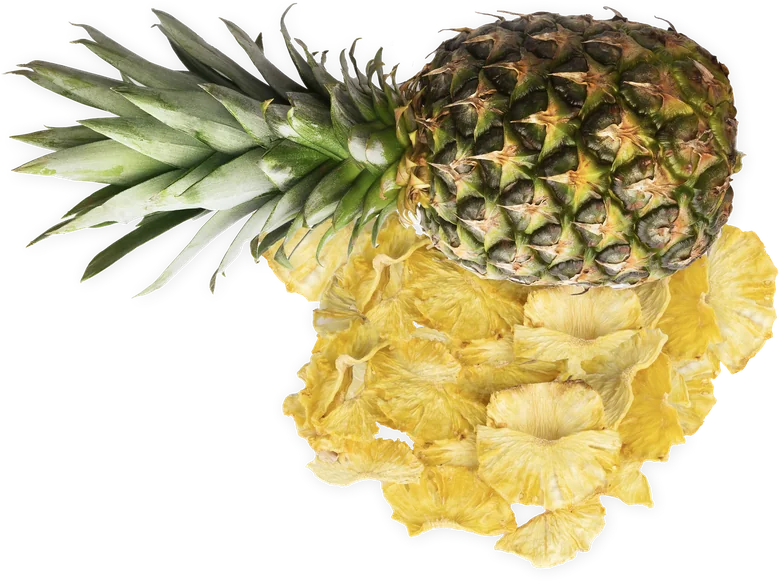 Kurutulmuş ananas dilimleri